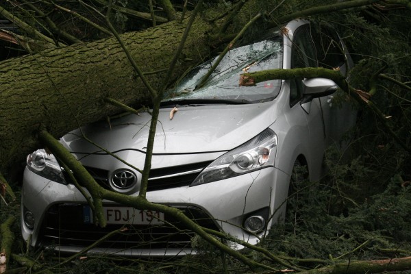 Tree hits car @ linux hotel